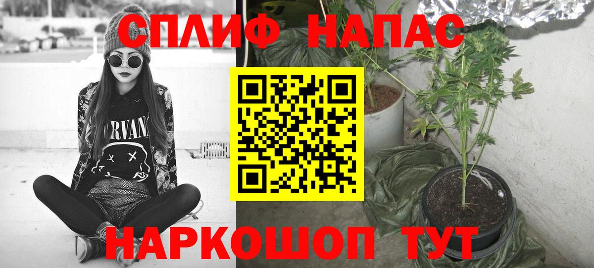 Канабис Bruce Banner  Бошки Шишки тримм  Бошки Шишки марихуана  Саров  Вход с VPN 